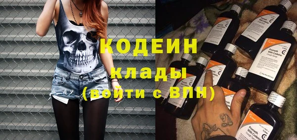 apvp Дмитров